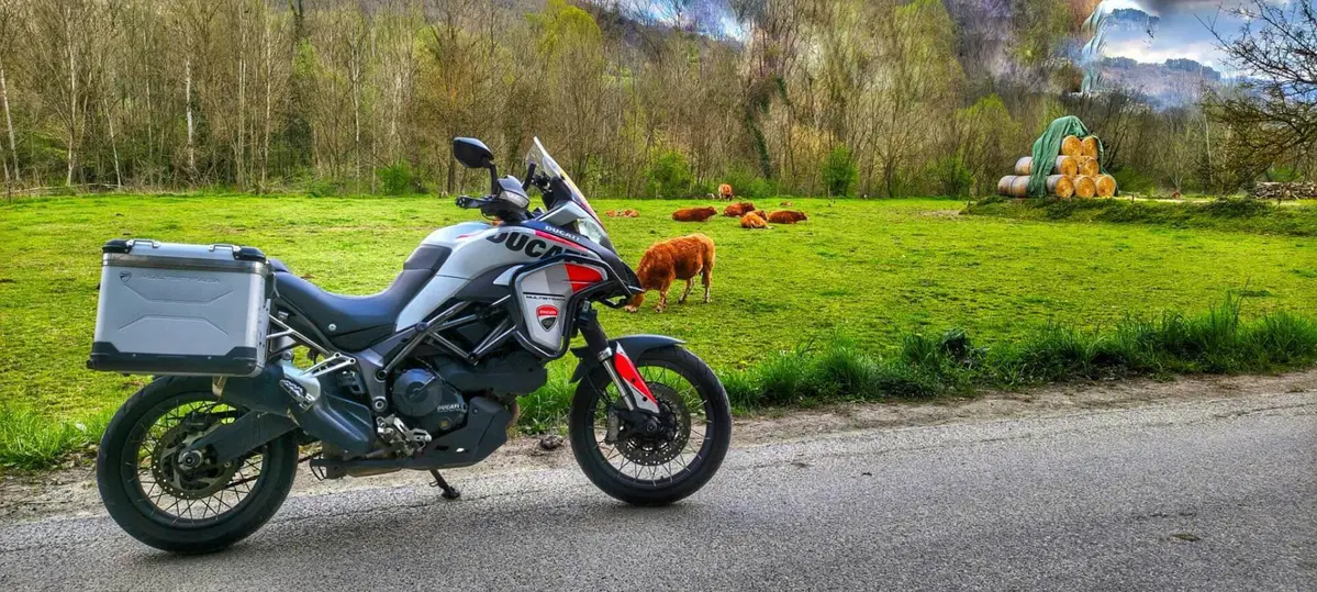 Ducati Multistrada 950 (2018) (5)