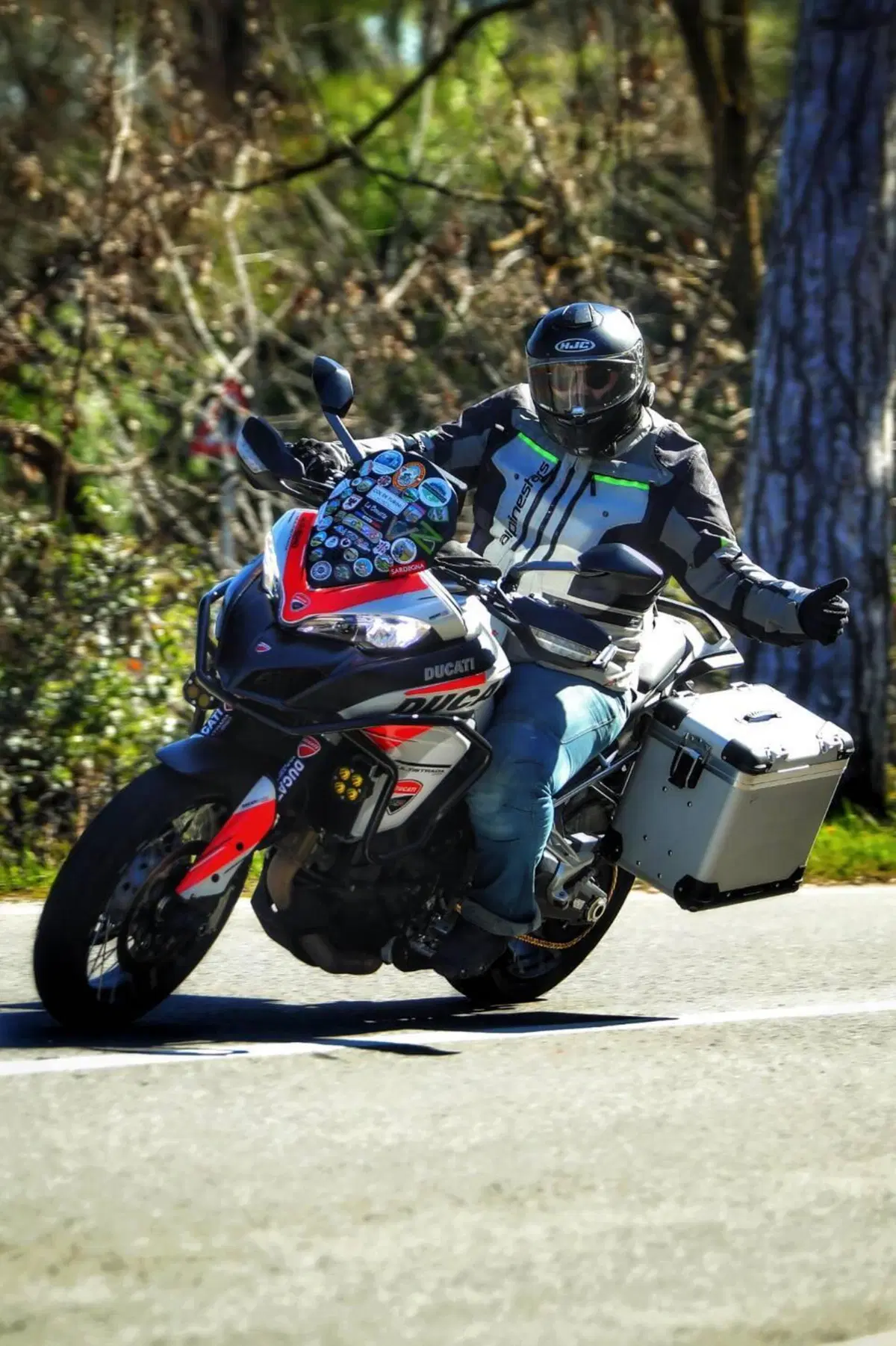Ducati Multistrada 950 (2018) (6)