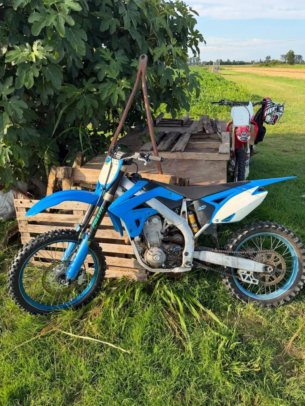 Tm Moto MX 250 Fi KS (2013)