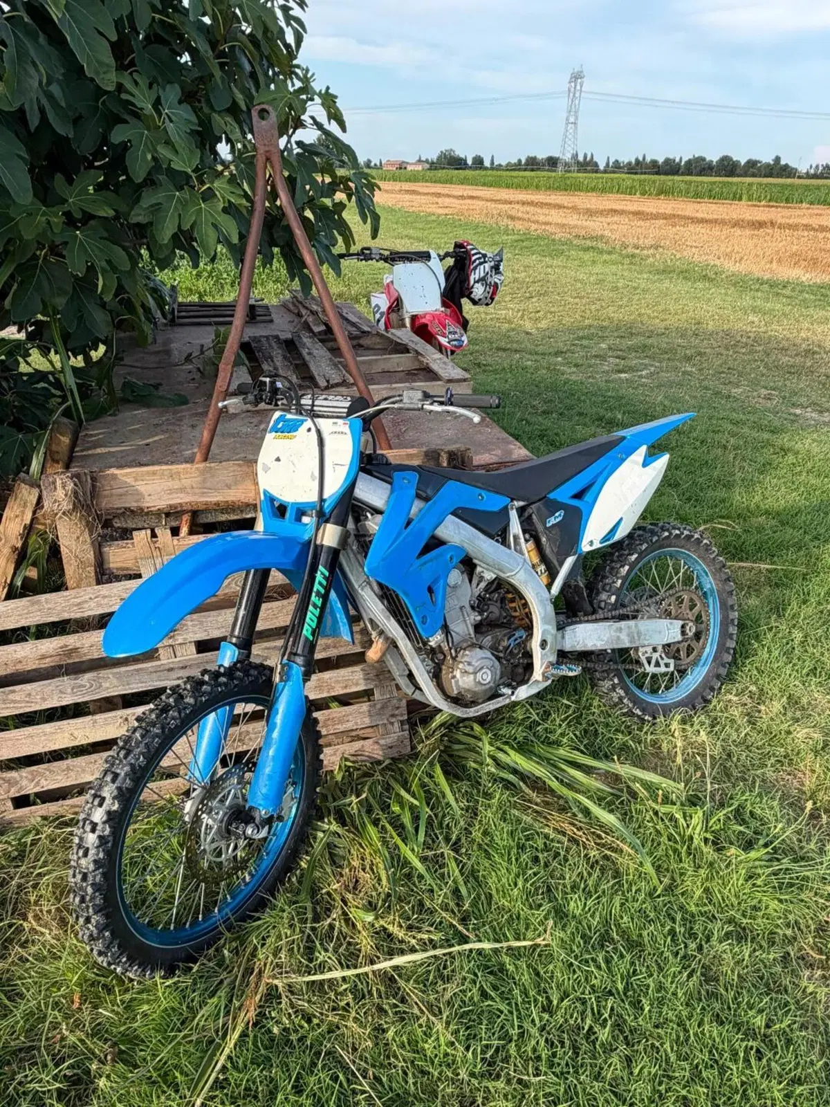 Tm Moto MX 250 Fi KS (2013) (2)