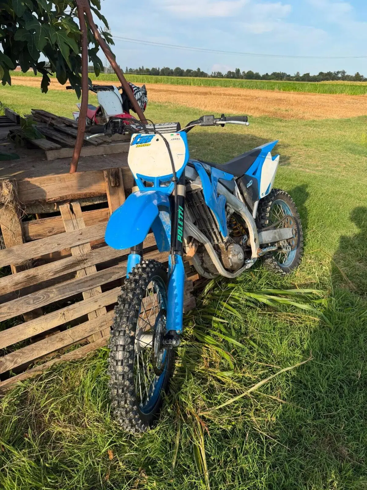 Tm Moto MX 250 Fi KS (2013) (6)