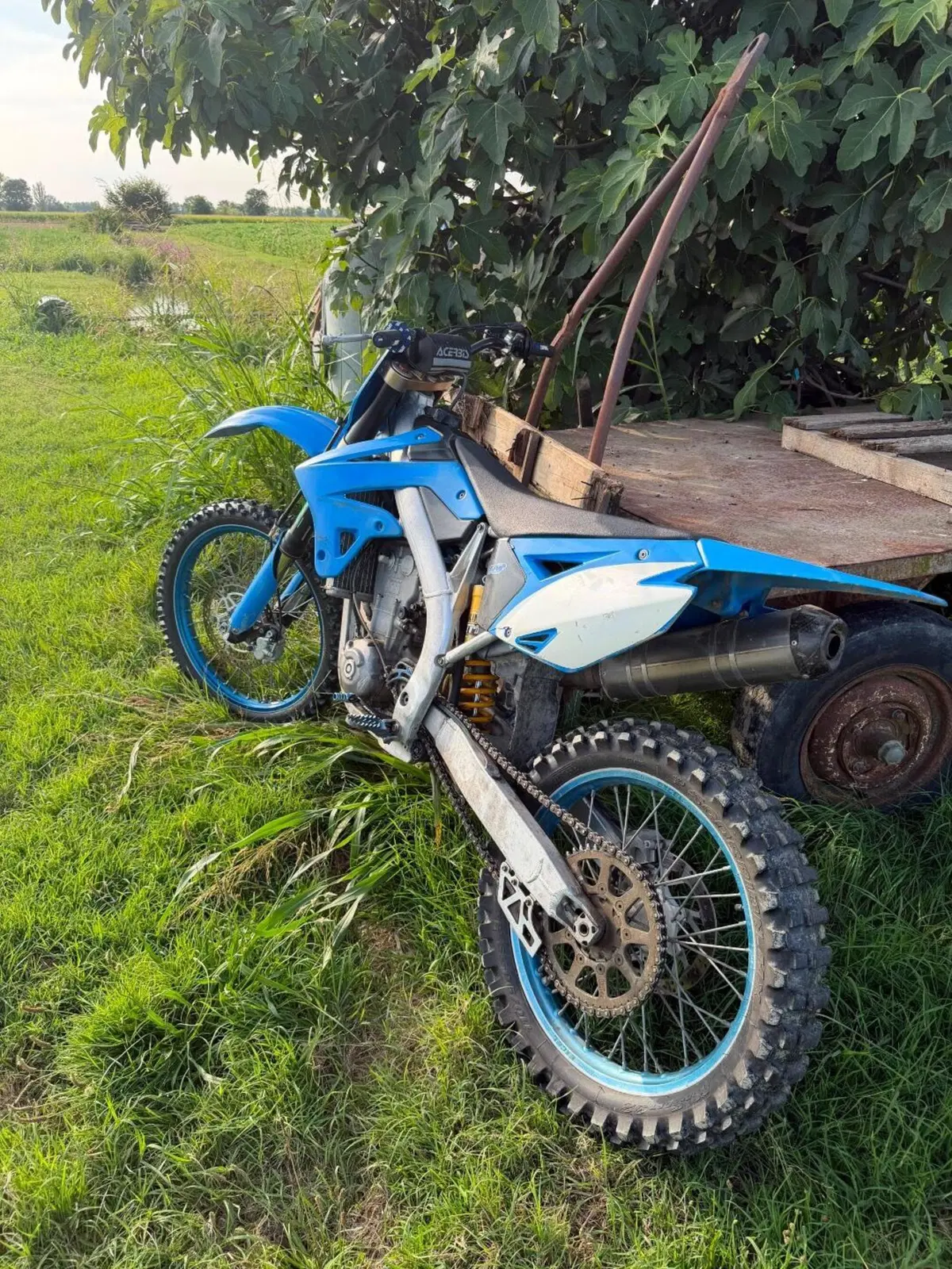 Tm Moto MX 250 Fi KS (2013) (7)