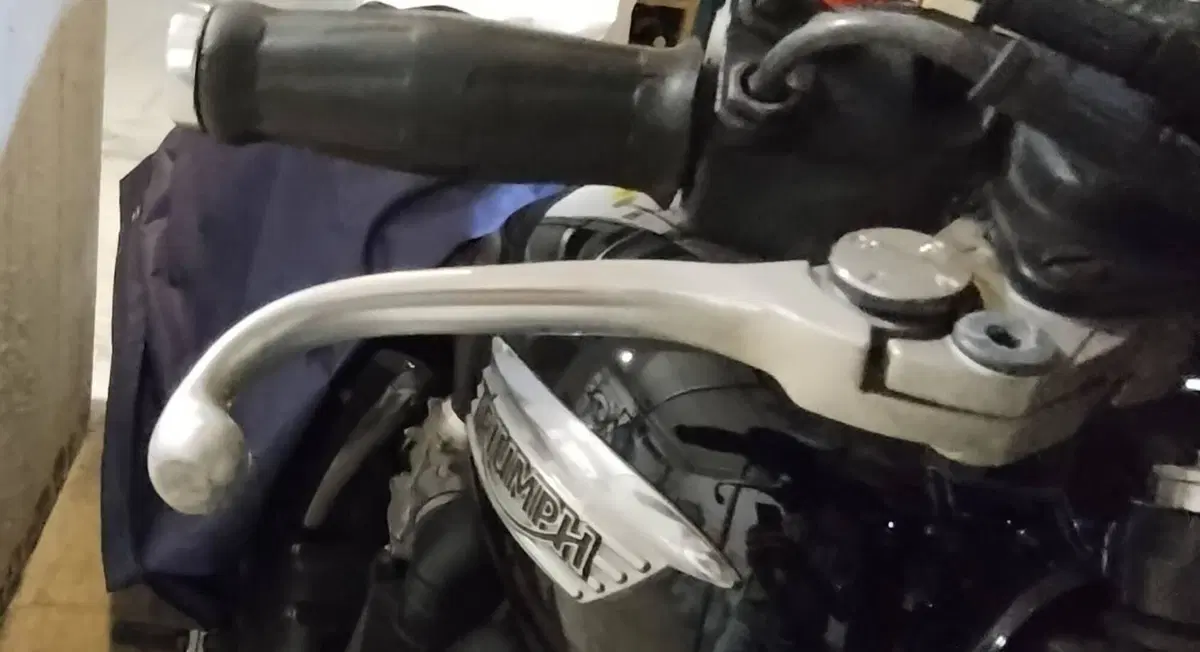 Triumph Bonneville T100 (2008 - 16) (7)