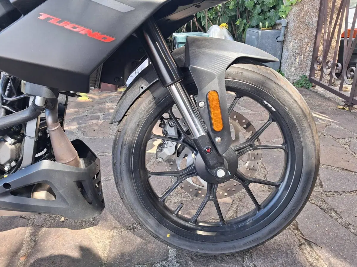 Aprilia Tuono 125 (2025 - 26) (7)