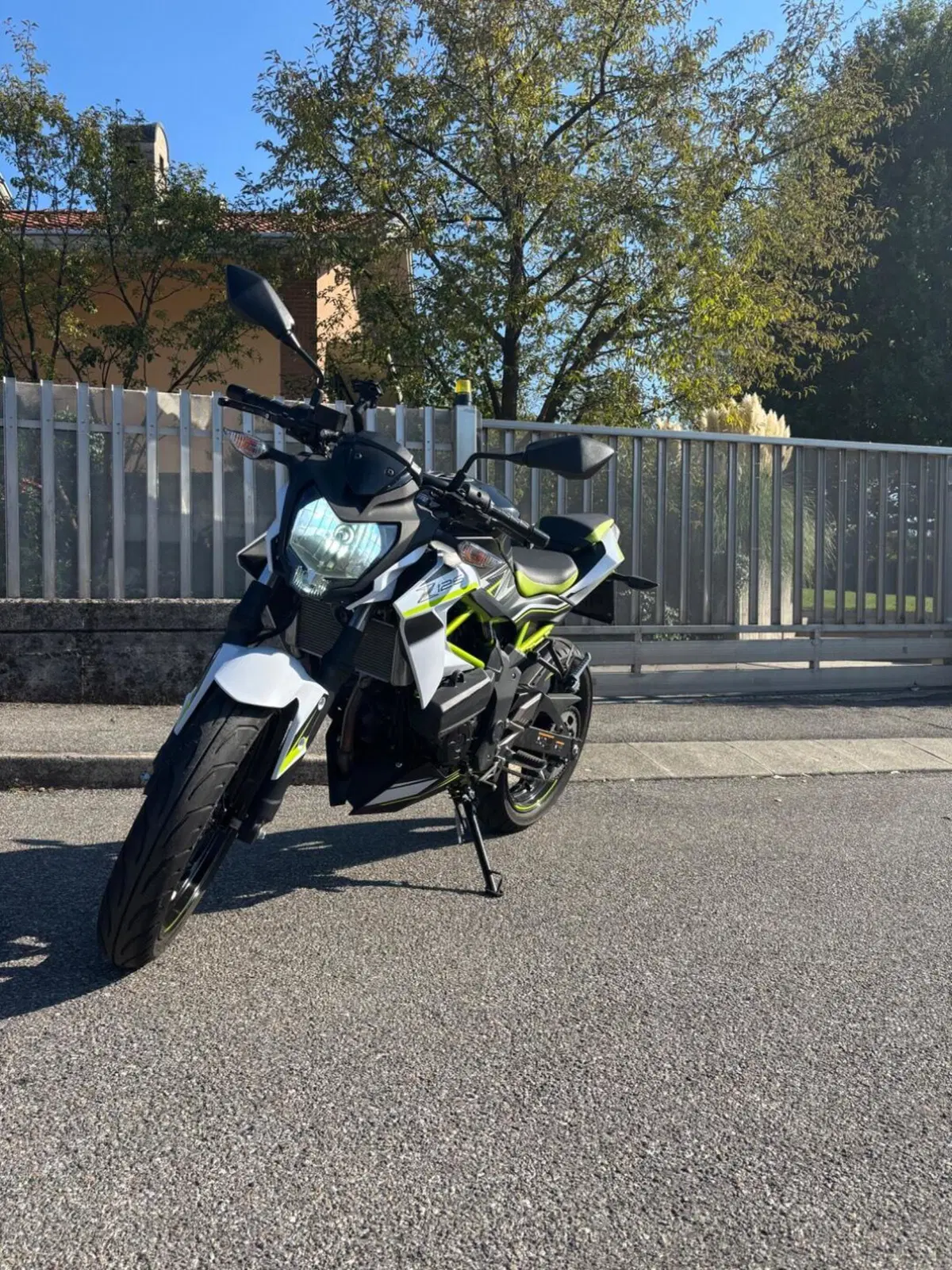 Kawasaki Z 125 (2021 - 24) (4)