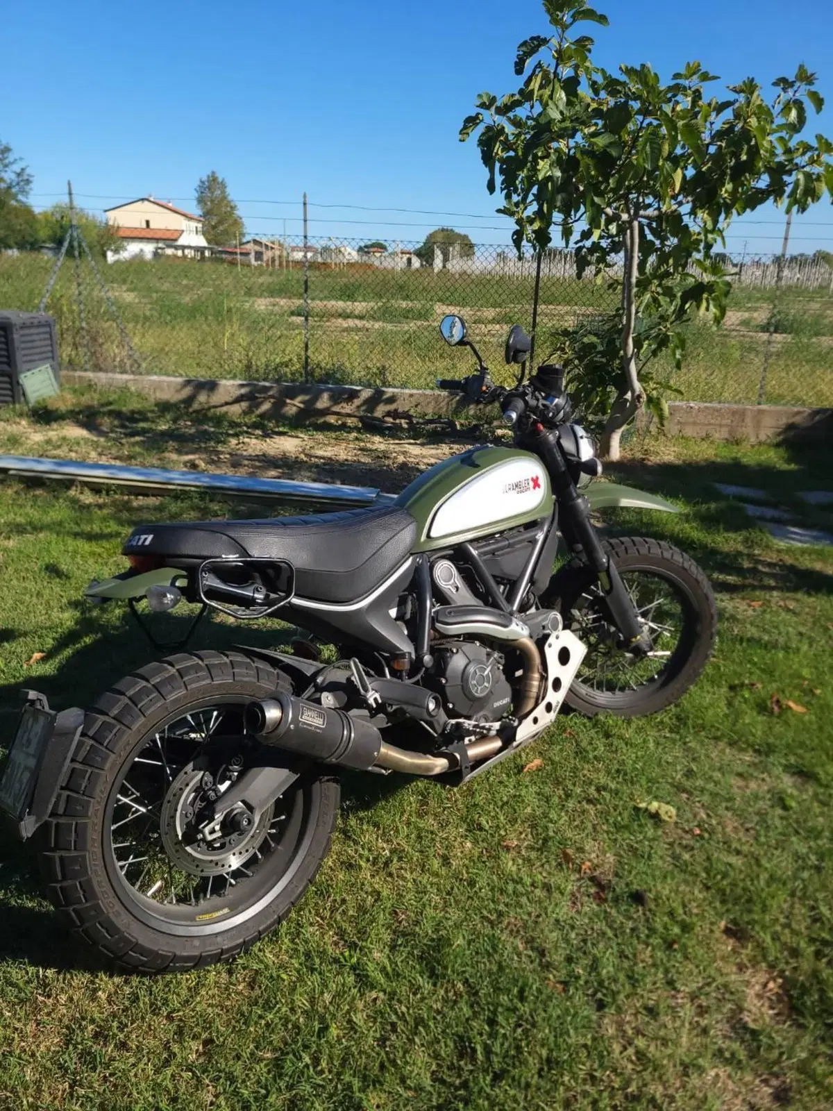Ducati Scrambler 800 Urban Enduro (2015 - 16) (3)