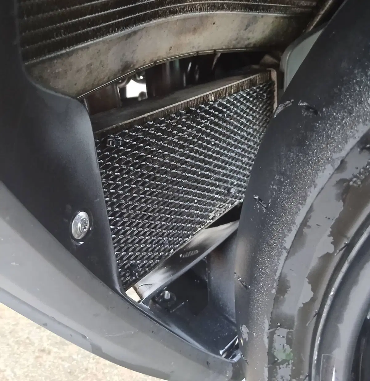 Bmw S 1000 RR (2019 - 20) (9)