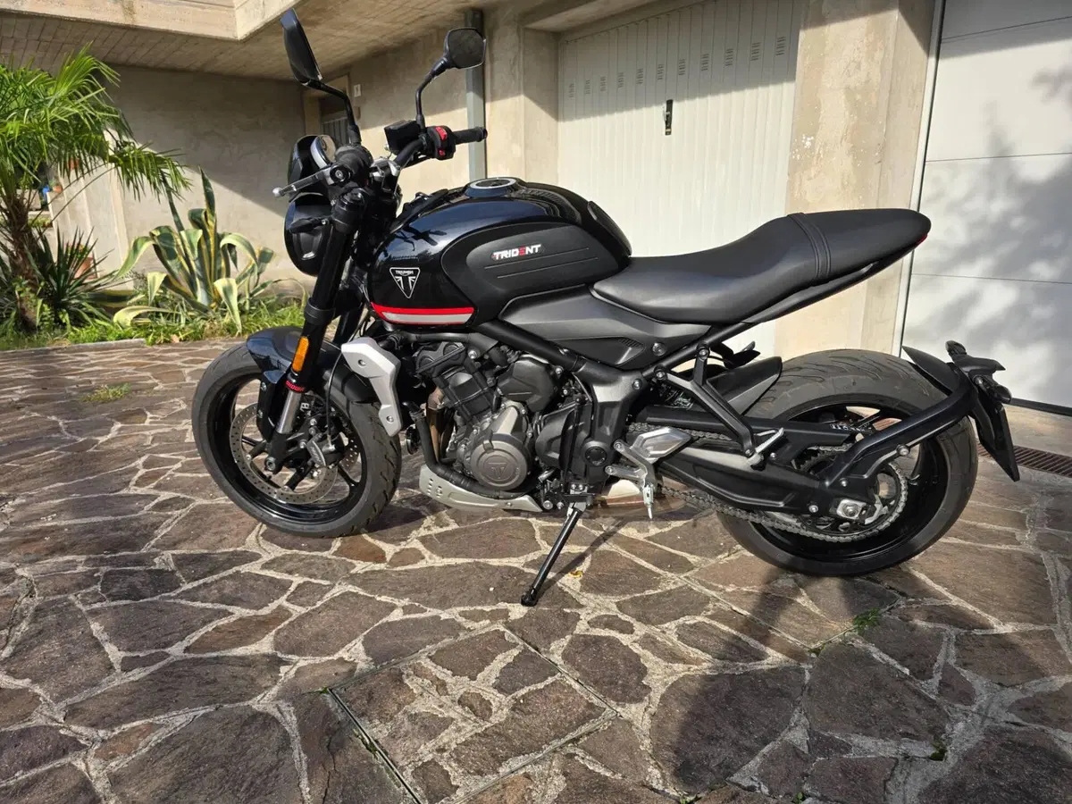 Triumph Trident 660 (2021 - 24) (3)
