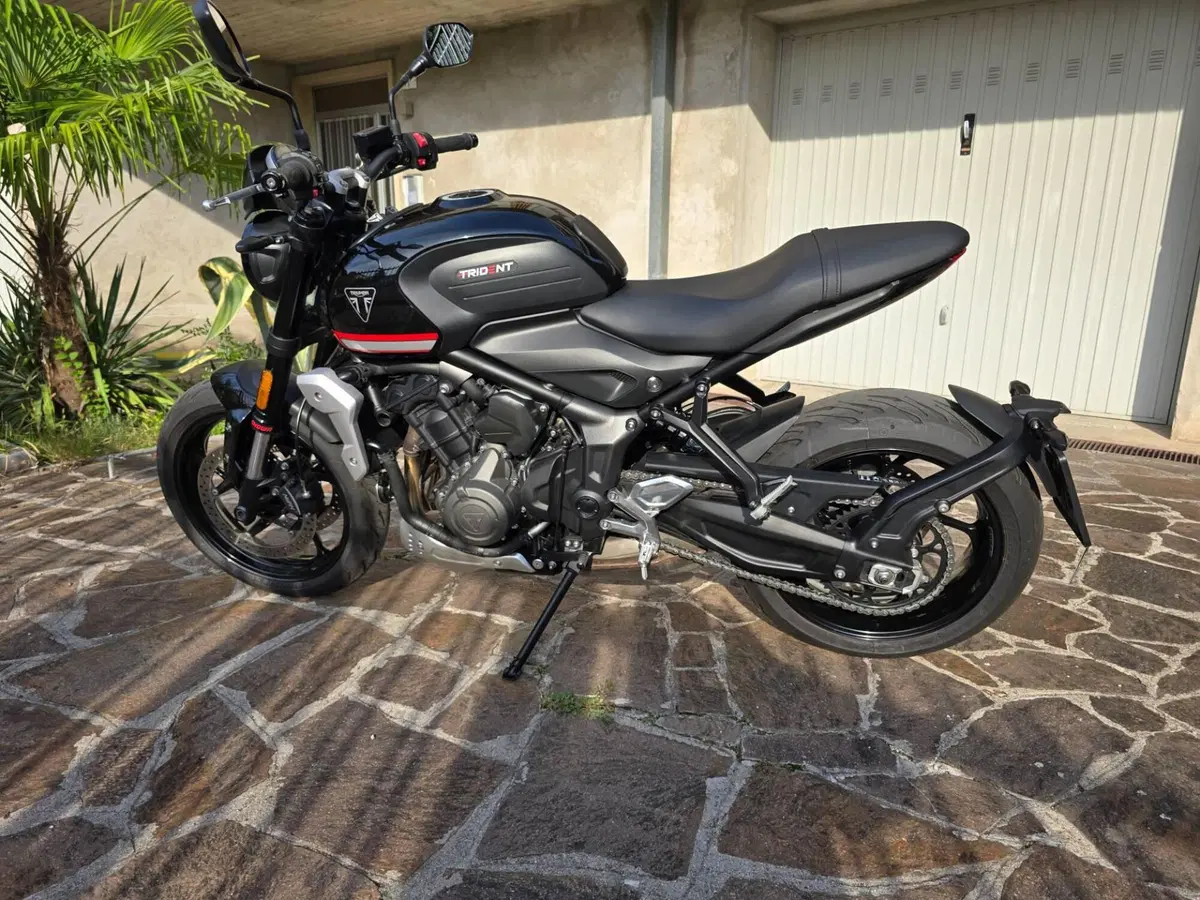 Triumph Trident 660 (2021 - 24) (5)