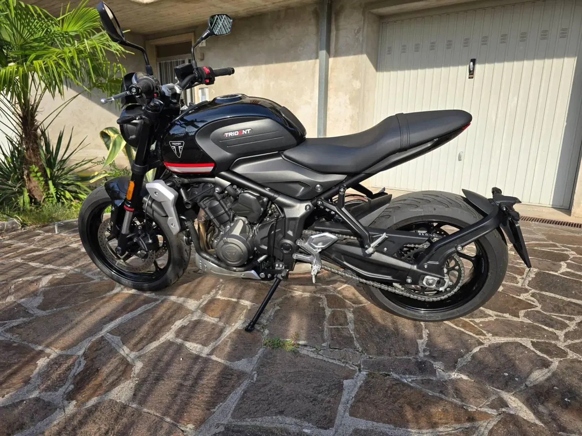 Triumph Trident 660 (2021 - 24) (6)