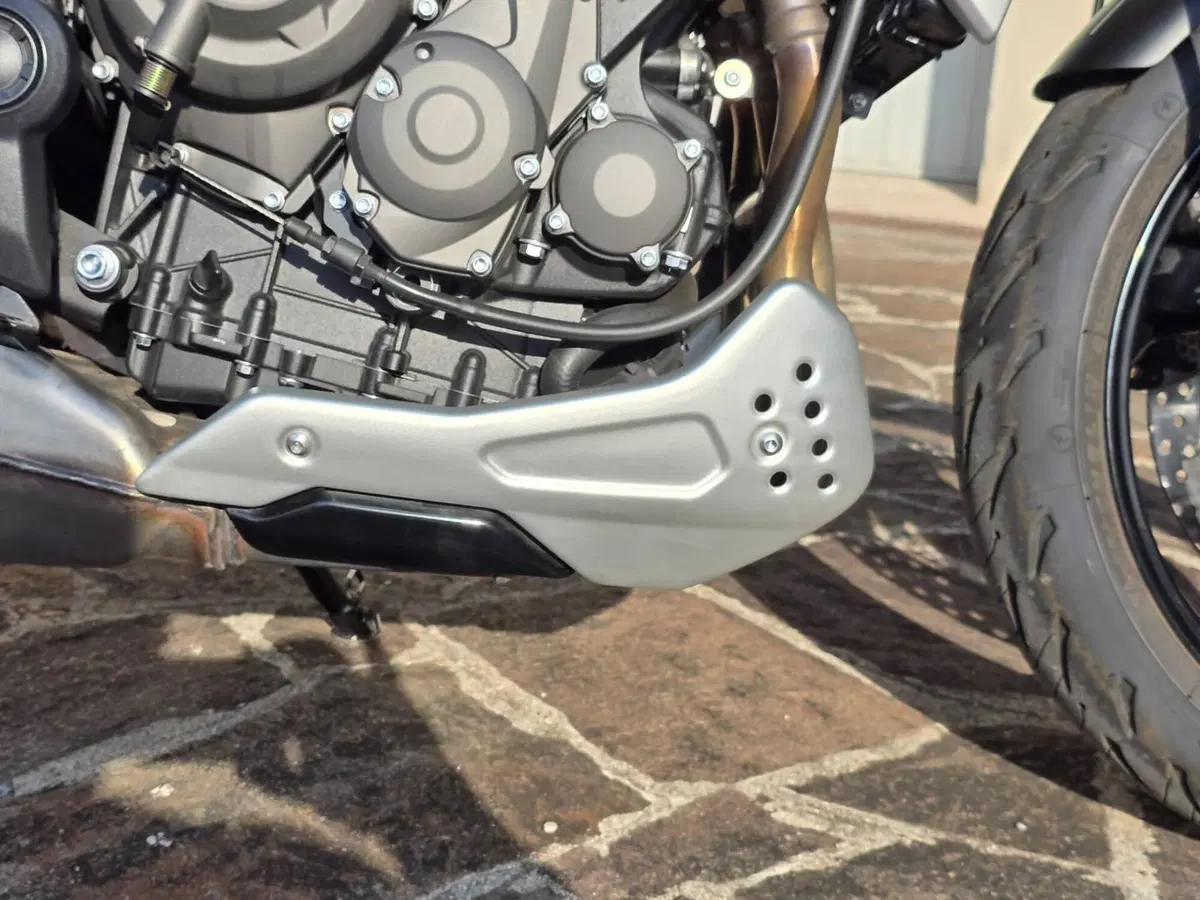 Triumph Trident 660 (2021 - 24) (7)