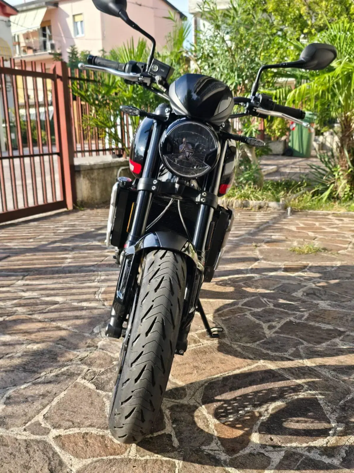 Triumph Trident 660 (2021 - 24) (8)