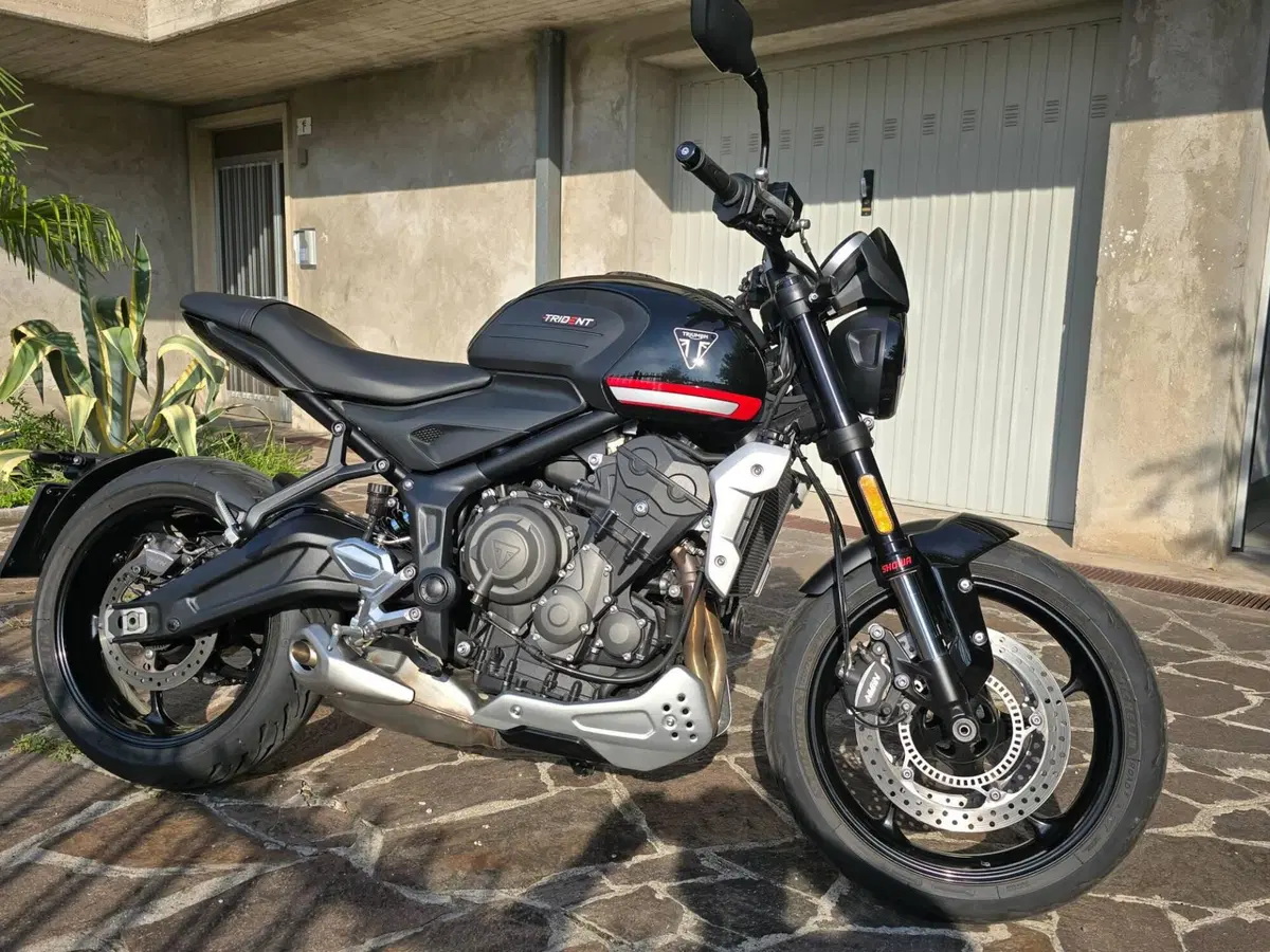 Triumph Trident 660 (2021 - 24) (9)