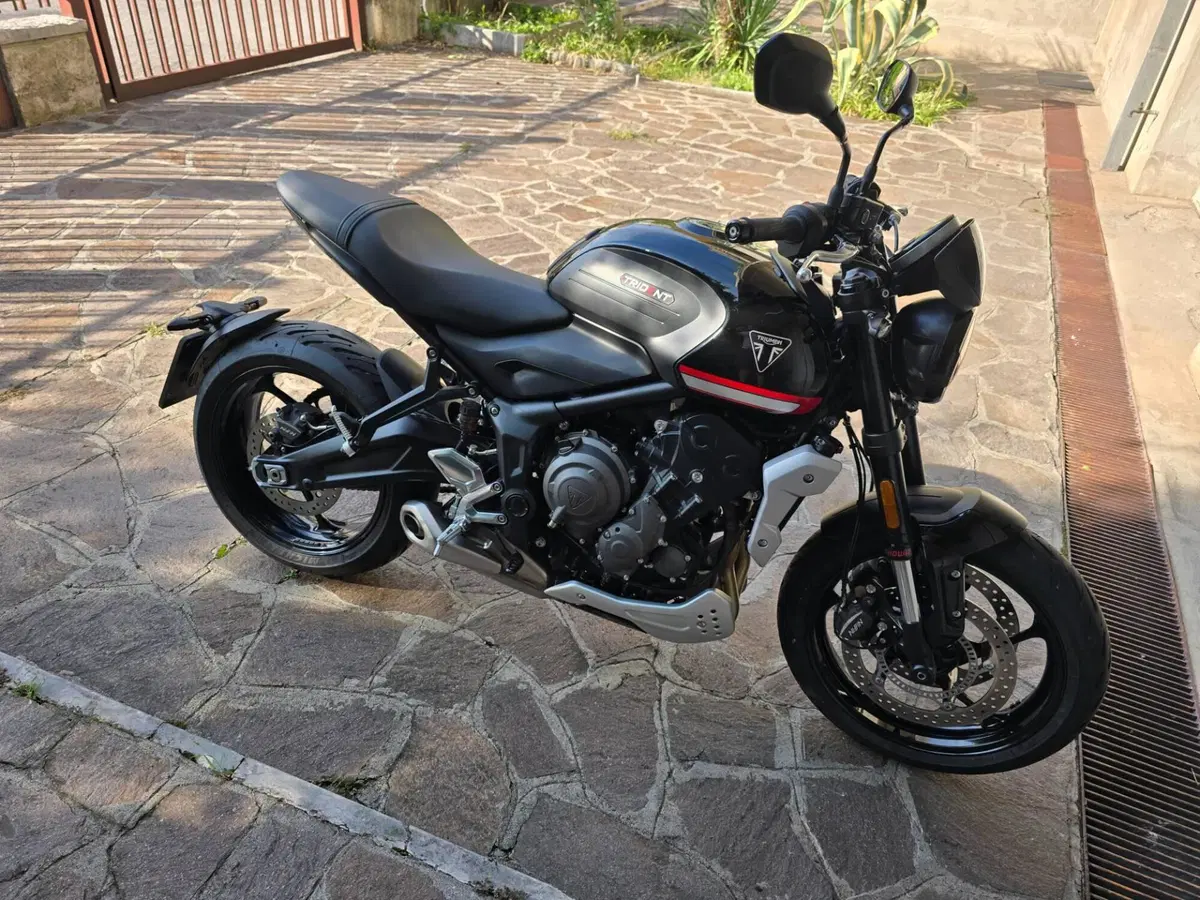 Triumph Trident 660 (2021 - 24) (2)