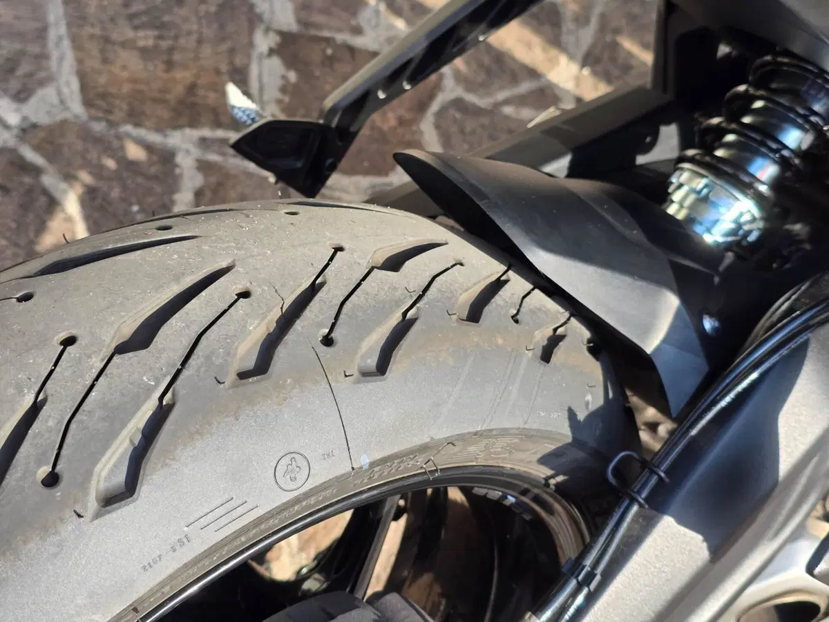 Triumph Trident 660 (2021 - 24) (10)