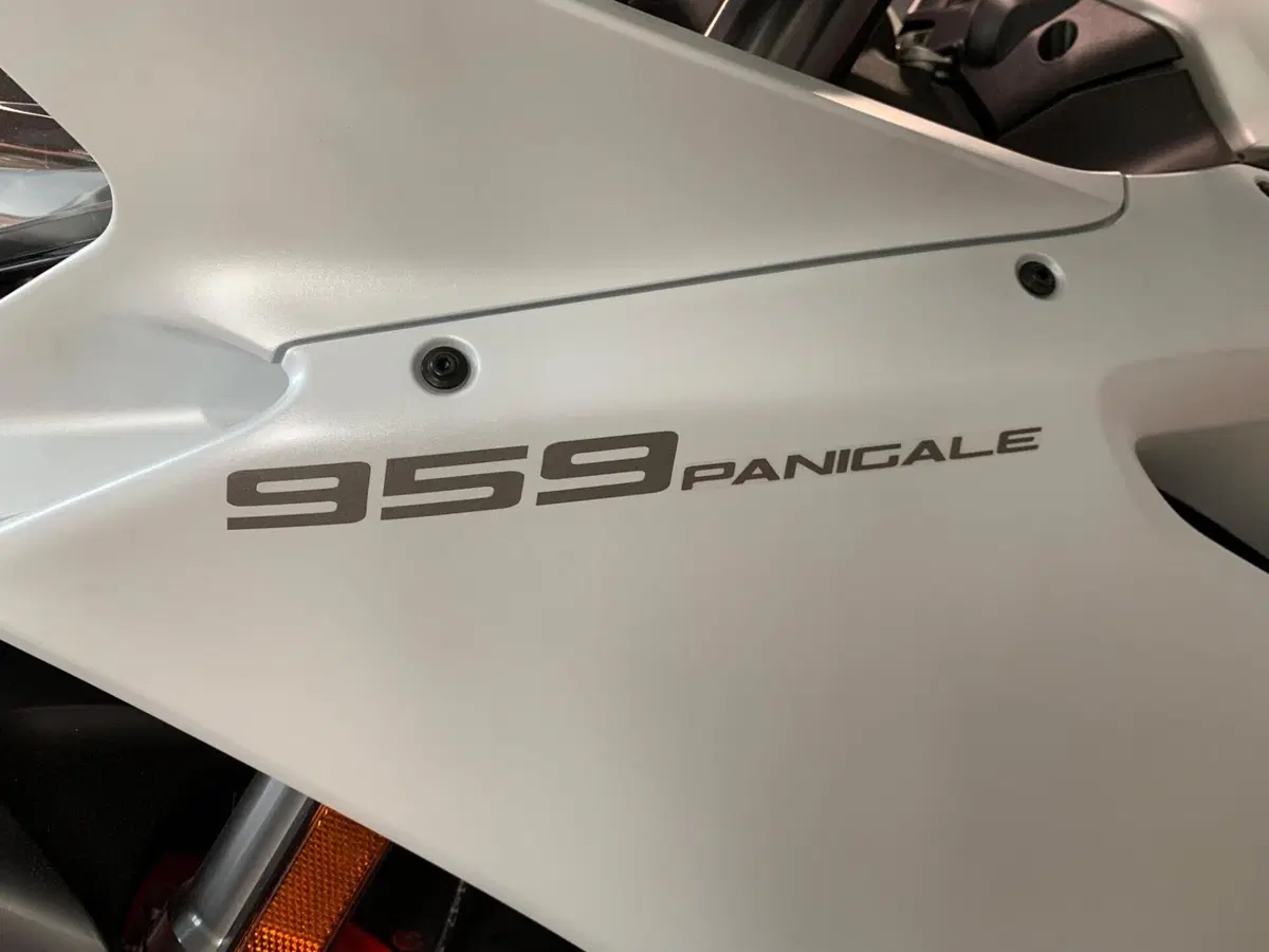 Ducati 959 Panigale (2016 - 19) (3)