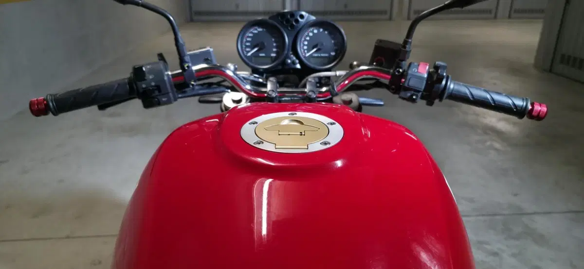 Ducati Monster 695 (2006 - 08) (15)
