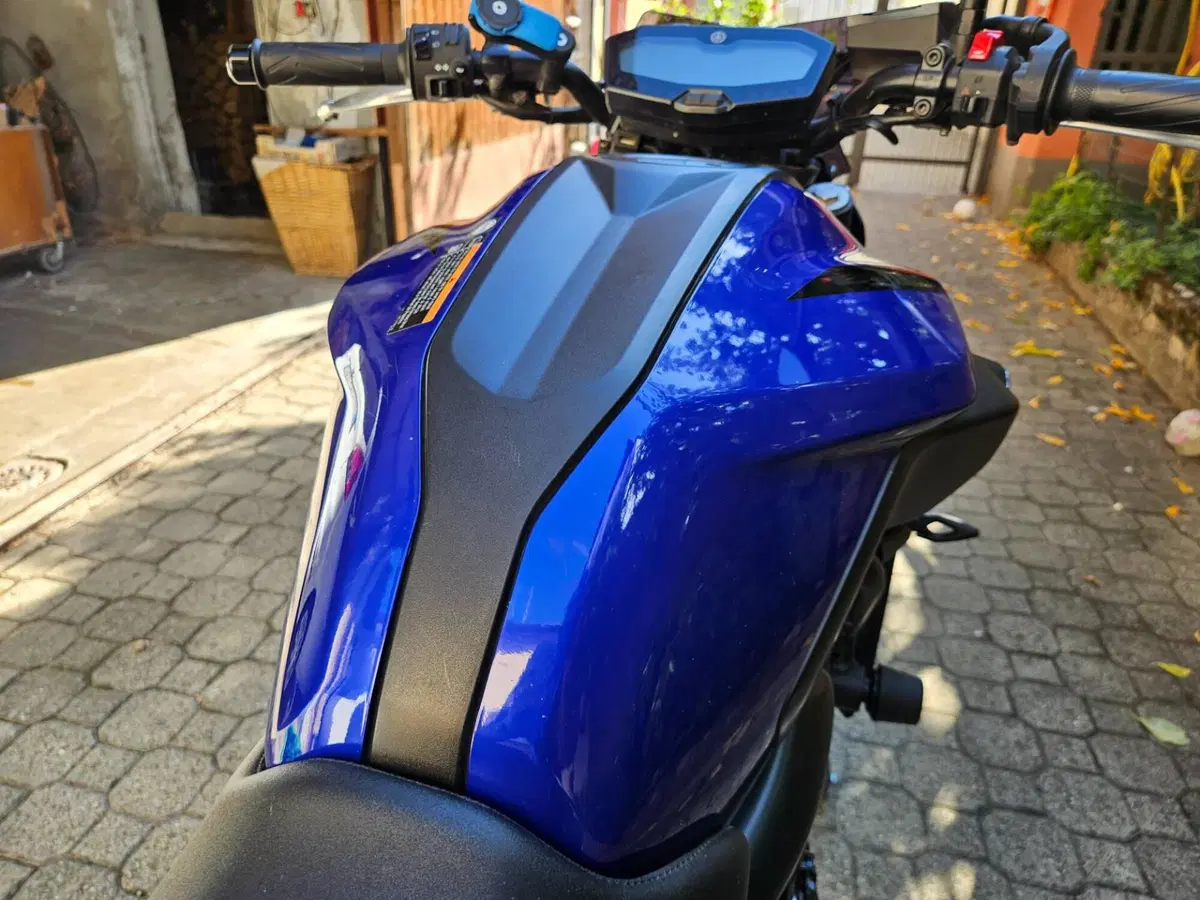 Yamaha MT-07 (2018 - 20) (8)