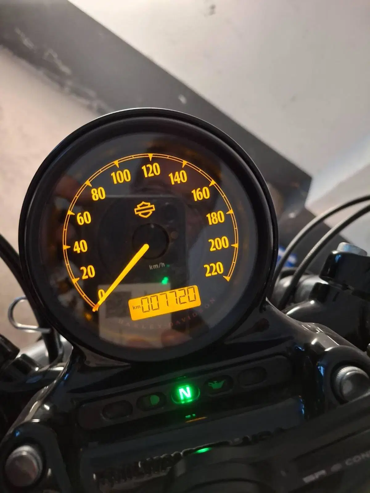 Harley-Davidson 1200 Forty-Eight (2016 - 20) (6)