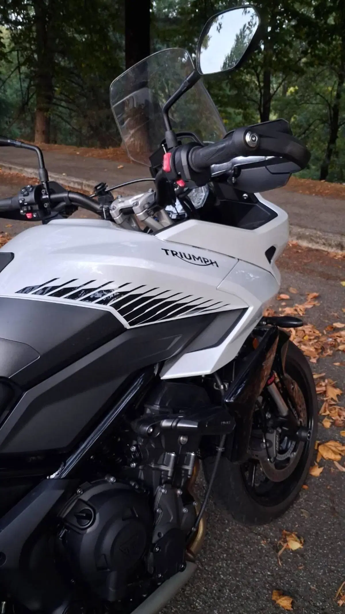 Triumph Tiger Sport 660 (2022 - 24) (4)