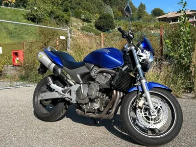 Honda Hornet 600 (2003 - 04) usata