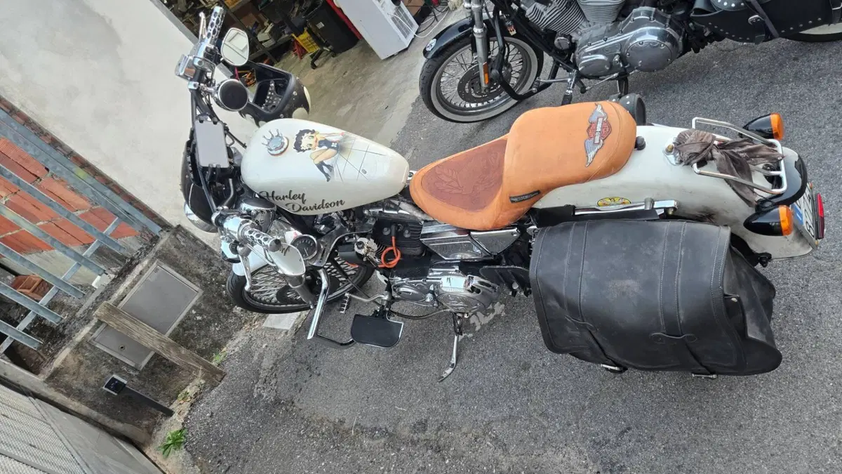 Harley-Davidson 1200 Custom (2001 - 03) - XL 1200C (4)