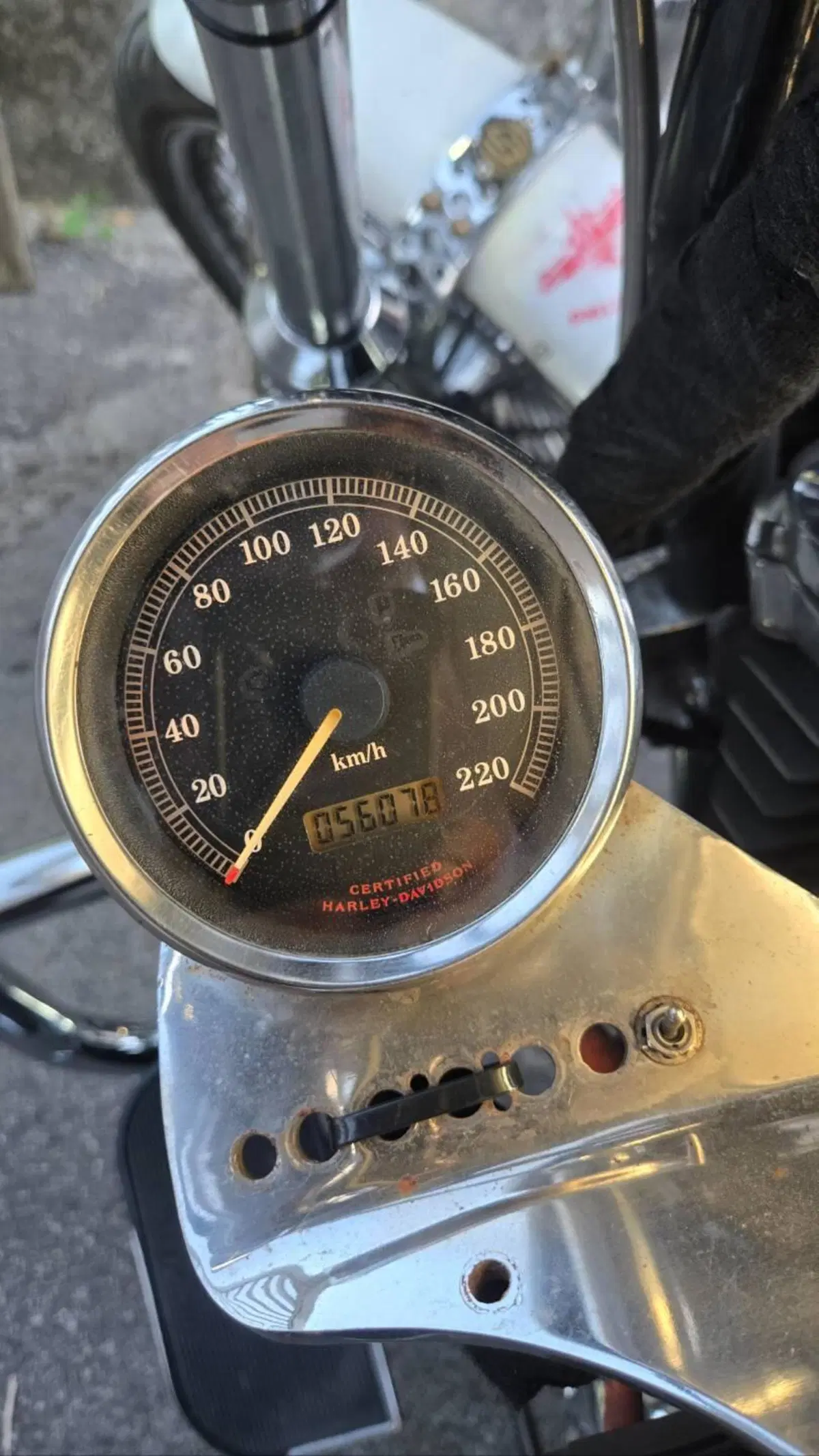 Harley-Davidson 1200 Custom (2001 - 03) - XL 1200C (5)