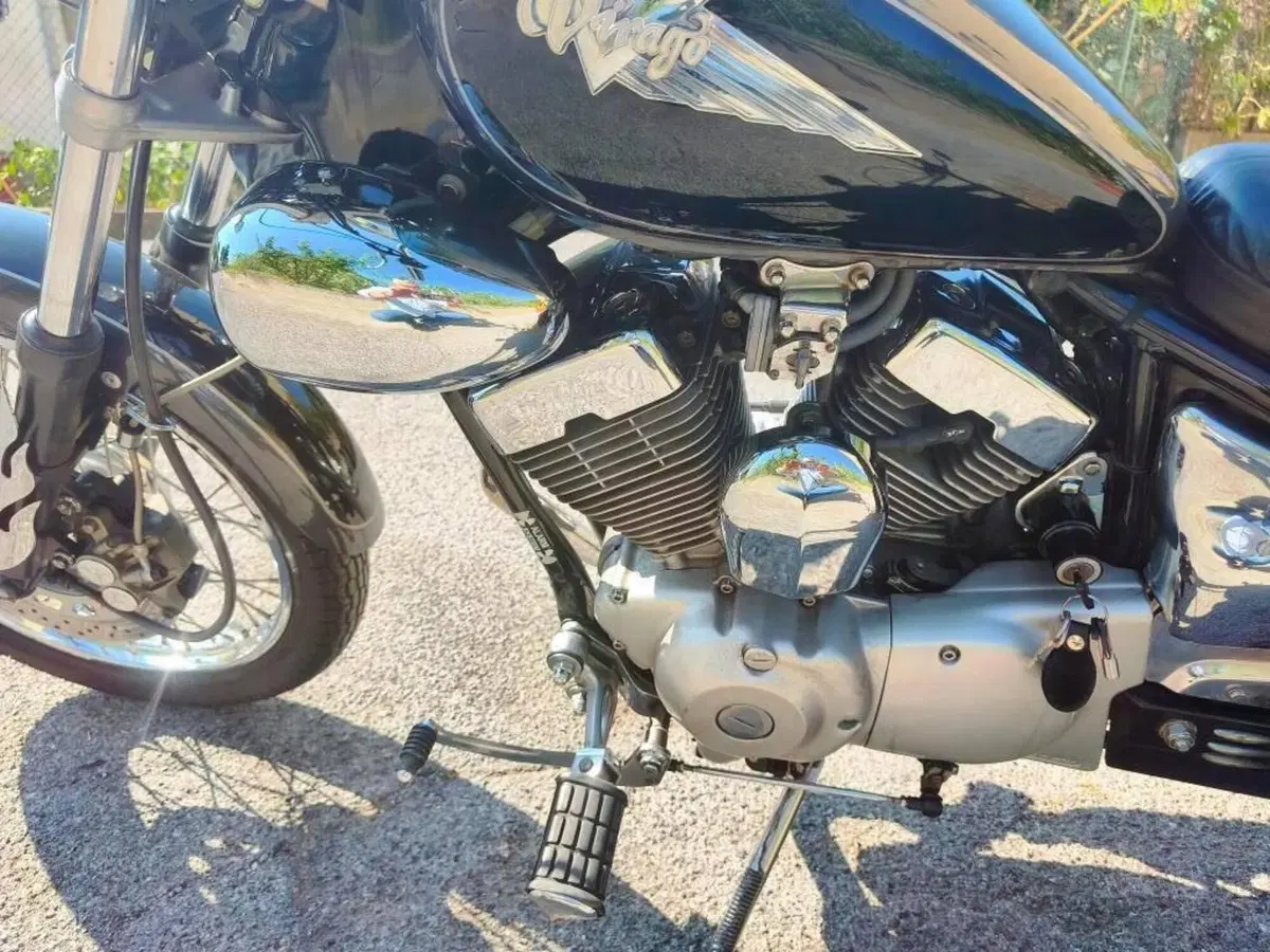 Yamaha XV 250 S Virago (1994 - 01) (3)