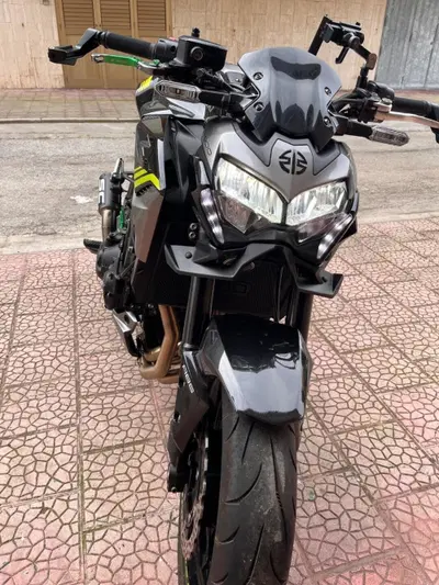 Kawasaki Z 900 (2020) usata