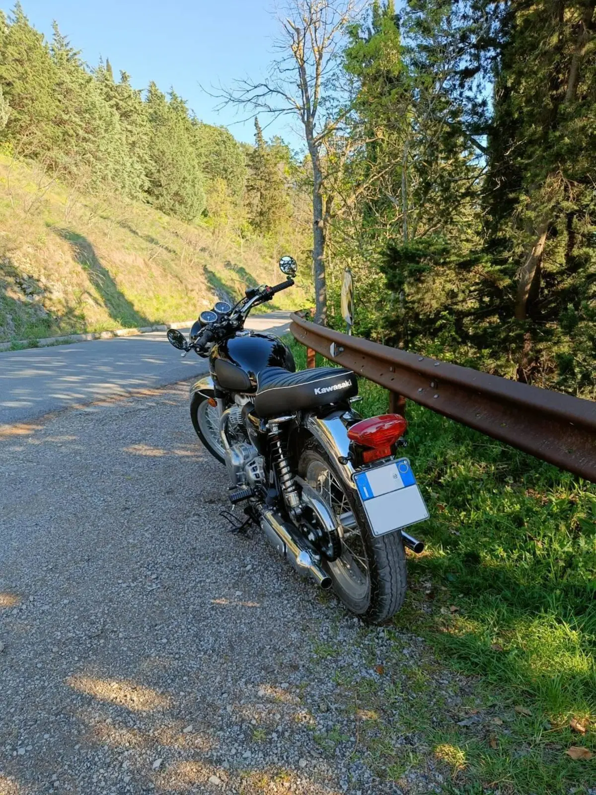 Kawasaki W 800 (2021 - 26) (4)