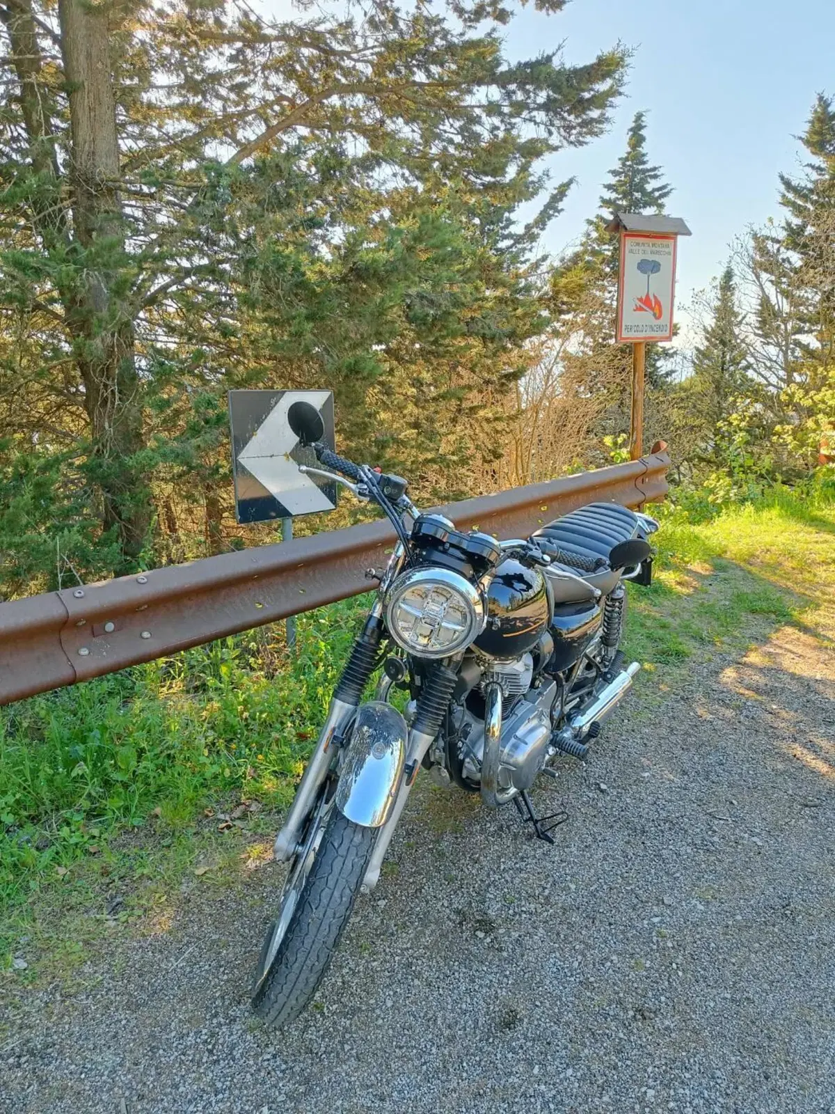 Kawasaki W 800 (2021 - 26) (5)