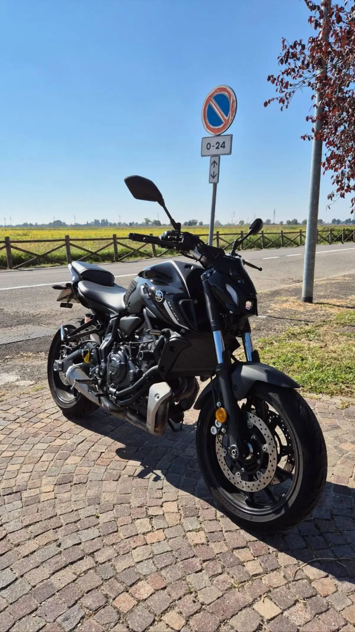 Yamaha MT-07 Pure (2023 - 25) (2)