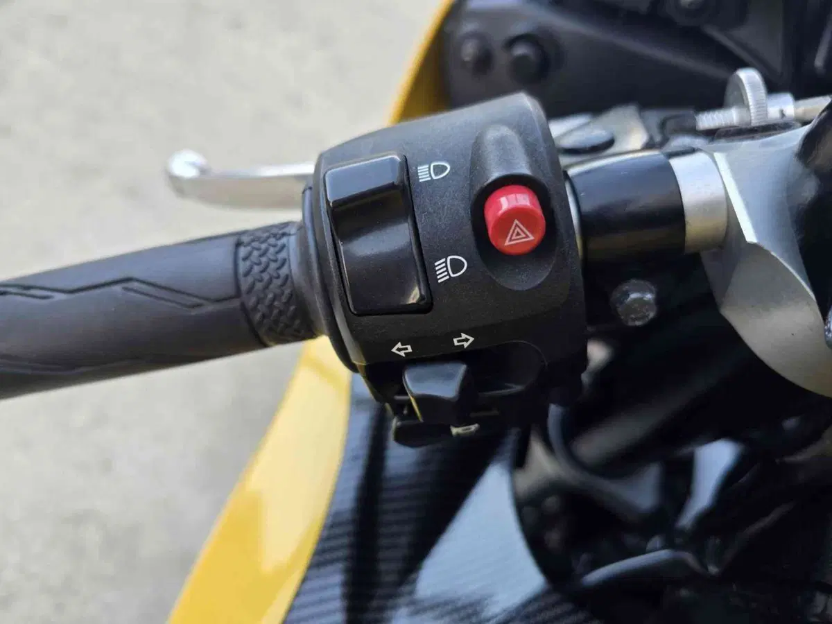 Yamaha YZF R6 (2006 - 07) (8)