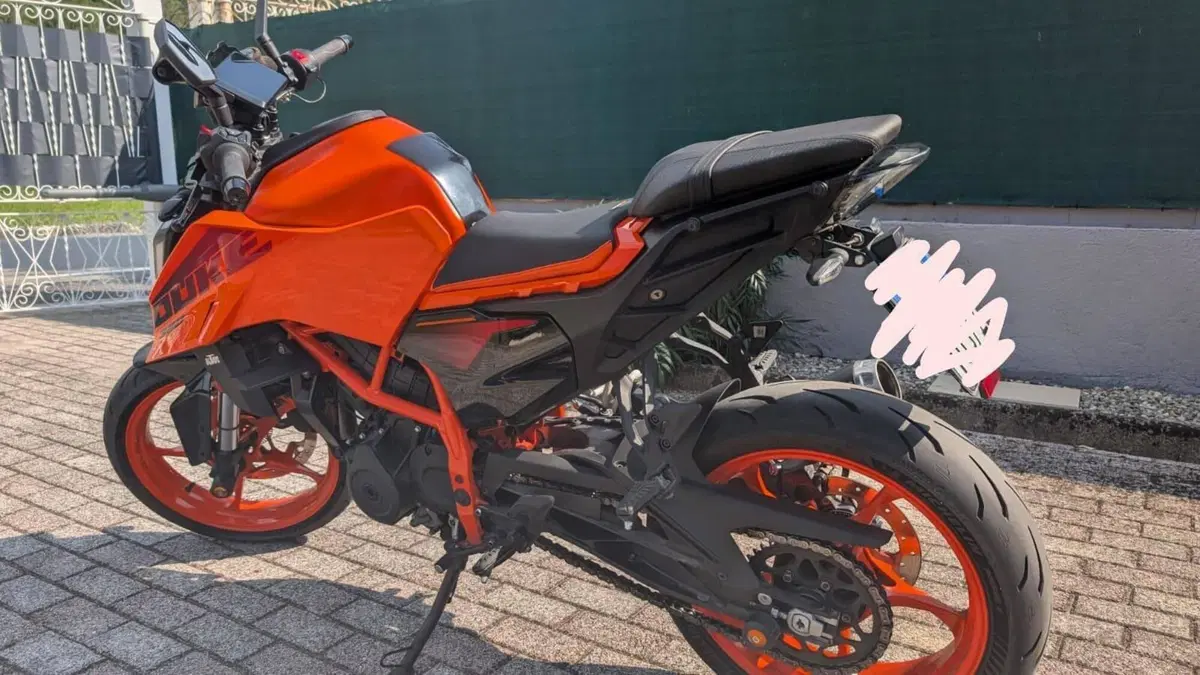 KTM 390 Duke (2024 - 25) (4)