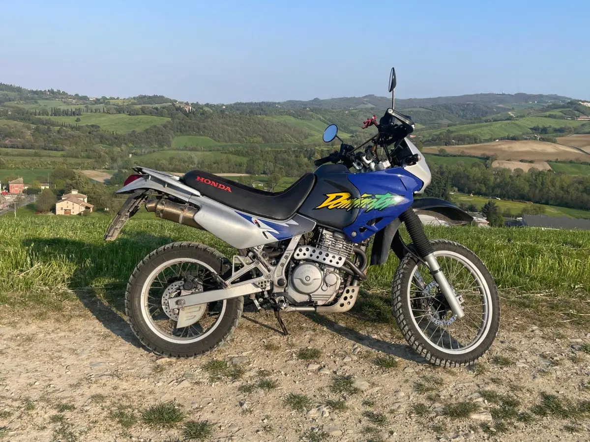 Honda NX 650 Dominator (1996 - 02) (11)