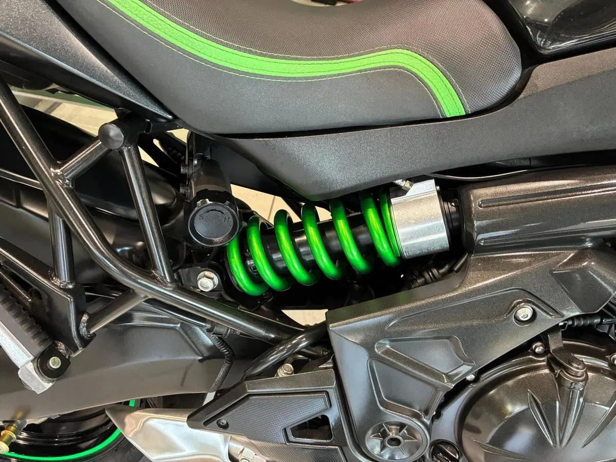 Kawasaki Versys 650 ABS (2015 - 16) (5)