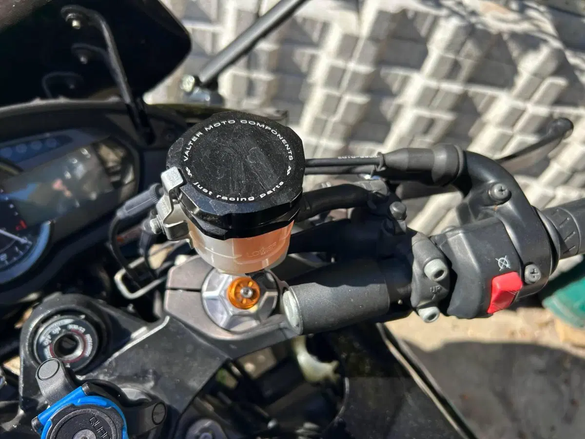 Kawasaki Z 1000 SX (2011 - 13) (8)