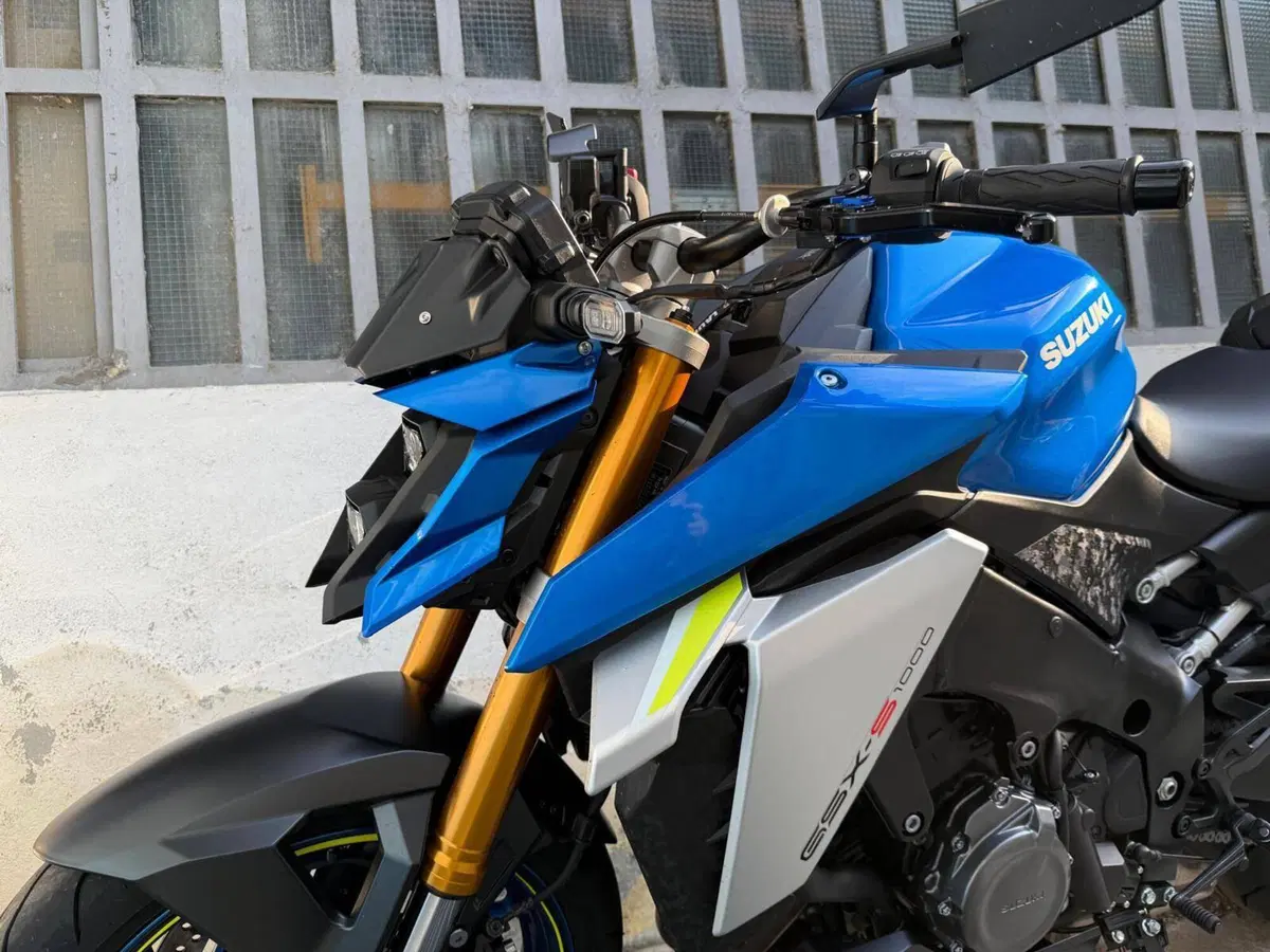 Suzuki GSX-S1000 (2021 - 25) (2)