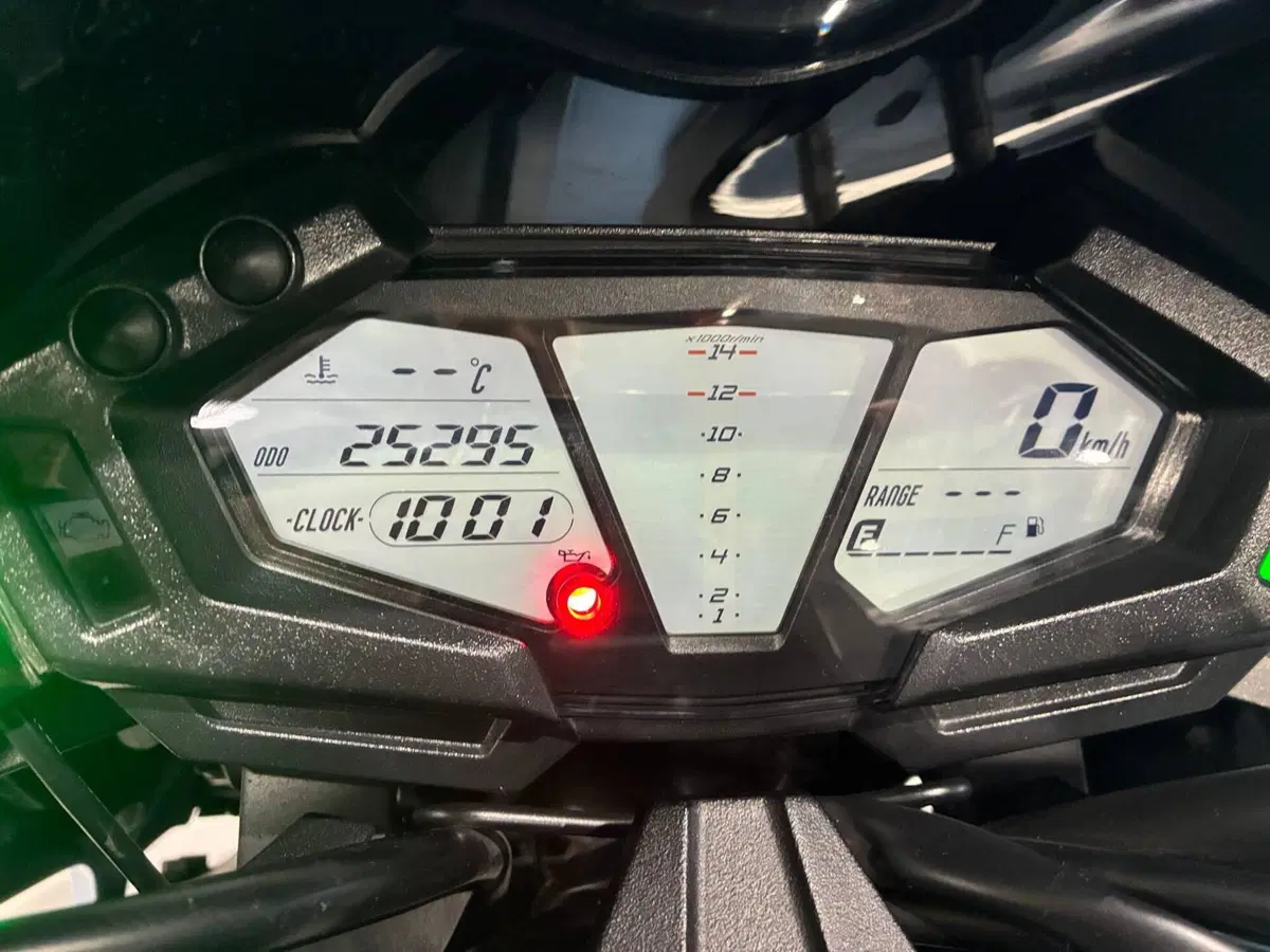 Kawasaki Z 800 (2012 - 13) (8)