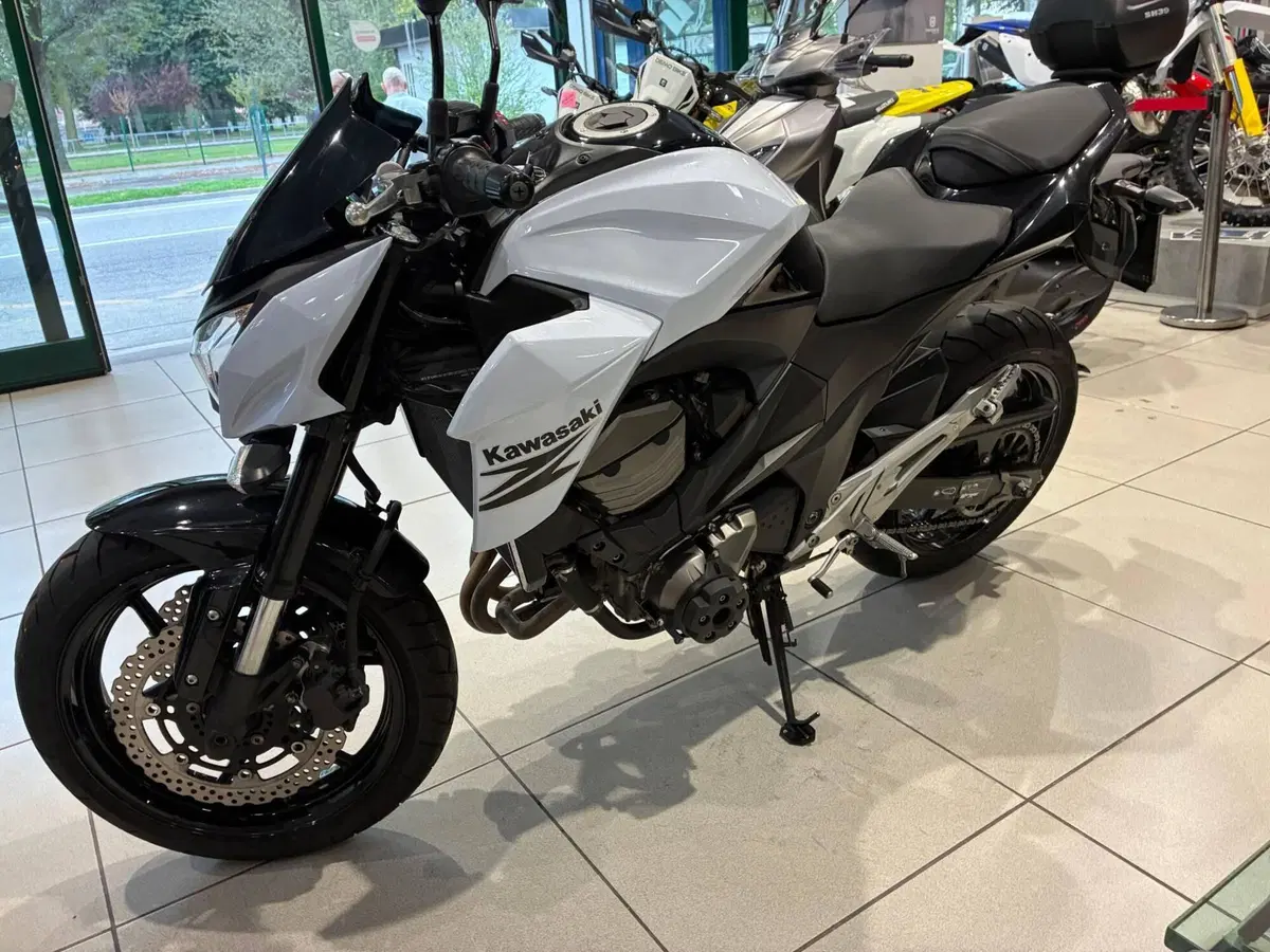 Kawasaki Z 800 (2012 - 13) (9)
