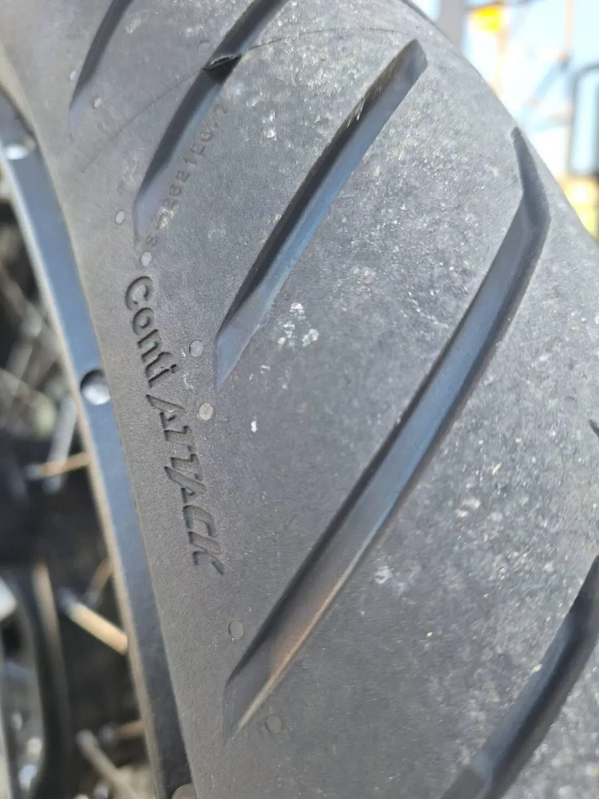 Bmw R 1300 GS Trophy (2023 - 26) (11)