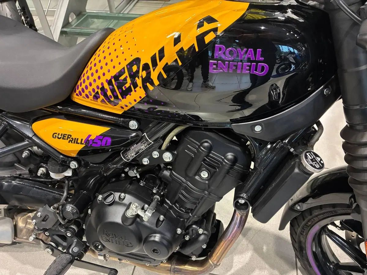 Royal Enfield Guerrilla 450 (2024 - 26) (4)