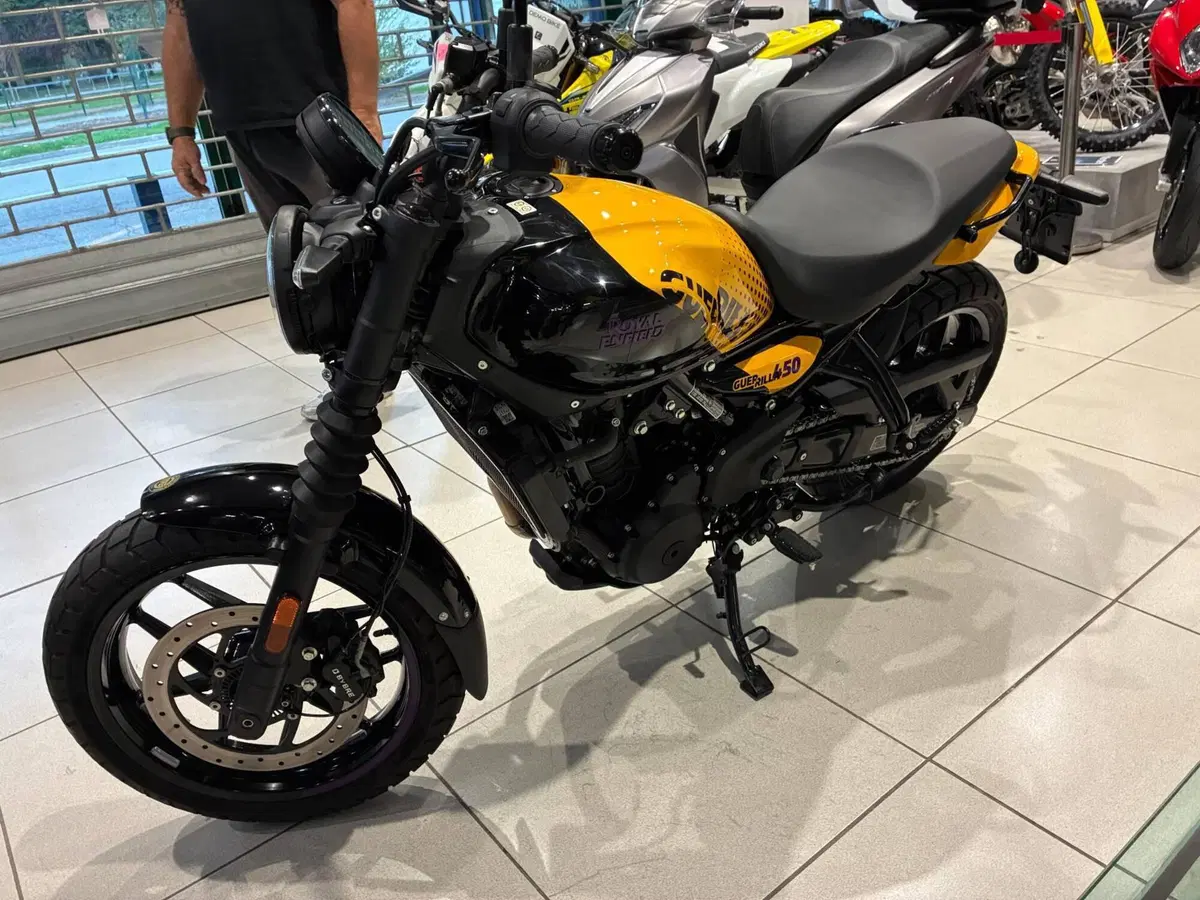 Royal Enfield Guerrilla 450 (2024 - 26) (8)