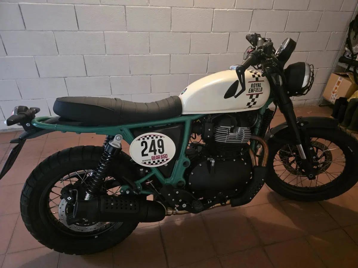Royal Enfield Bear 650 (2025 - 26) (8)