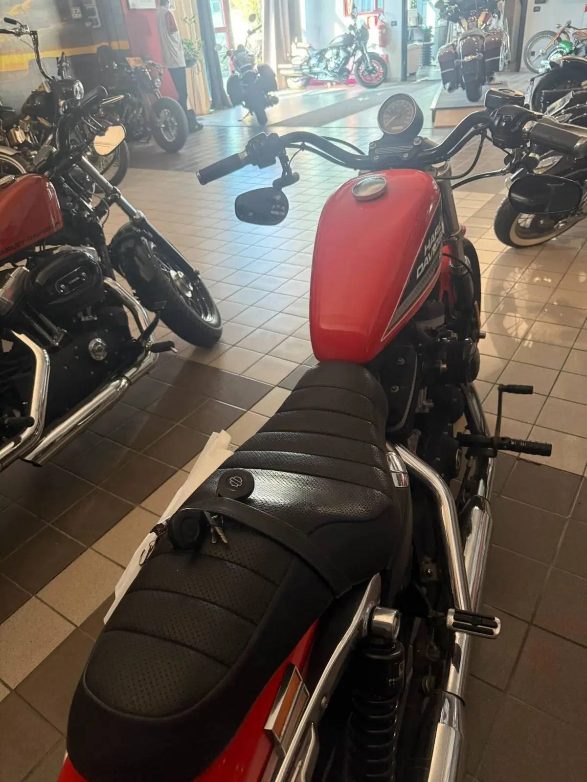 Harley-Davidson 883 R (2006 - 07) - XL 883R (3)