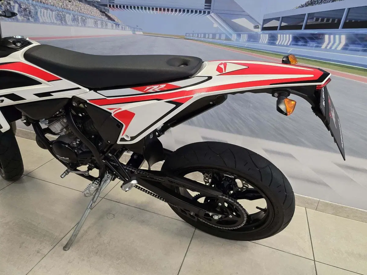 Betamotor RR 50 Motard (2021 - 26) (7)