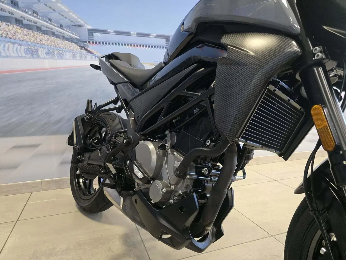 CFMOTO 300NK (2021 - 26) (14)