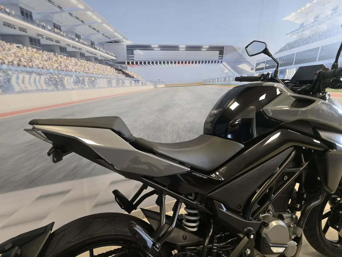 CFMOTO 300NK (2021 - 26) (18)