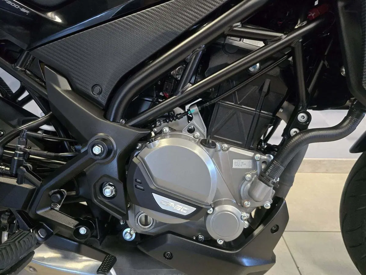 CFMOTO 300NK (2021 - 26) (19)