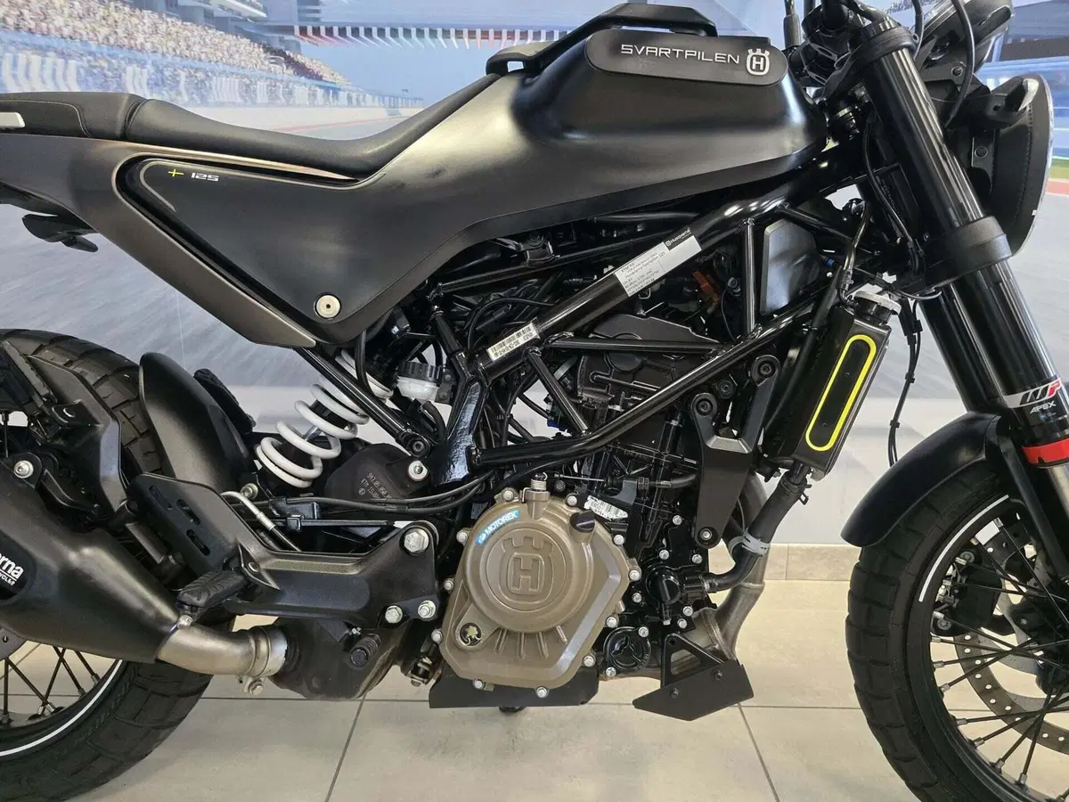Husqvarna Svartpilen 125 (2021 - 23) (14)